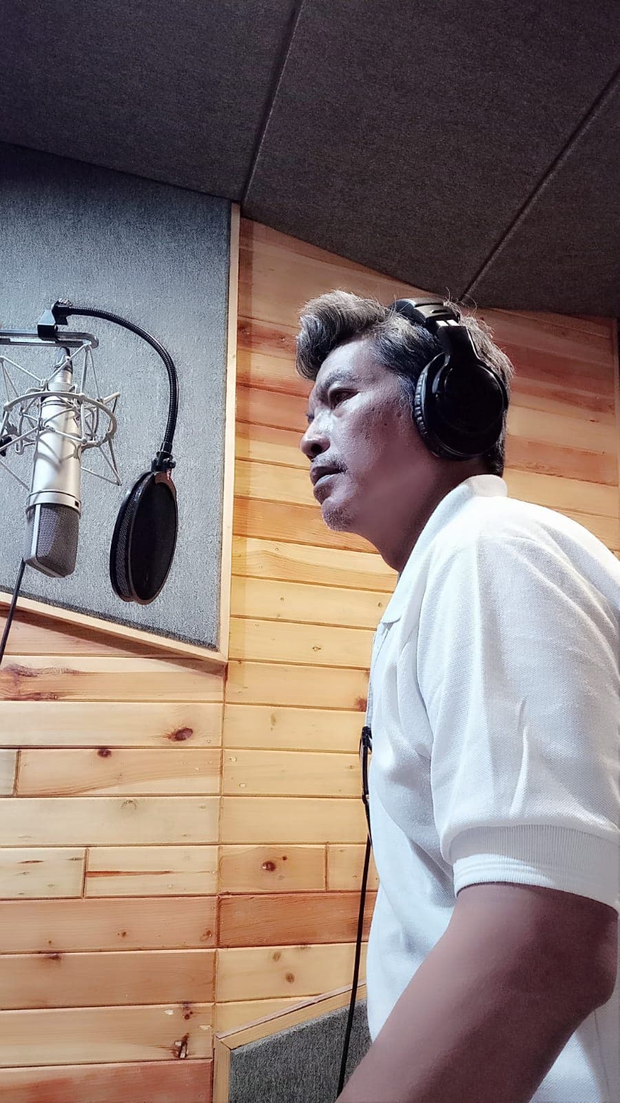 Jiwasuara Voice-Over Dubbing & Studio Work - Voice Over